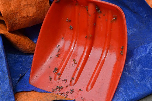 Phat hien 2 tan mut Tet sieu ban chuan bi dem ra cho ban-Hinh-2