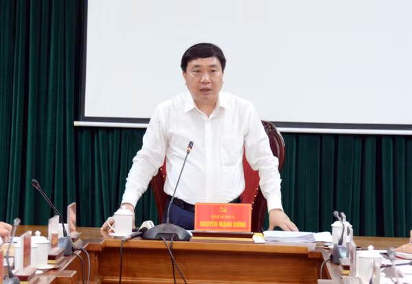 Từ tháng 10/2020 đến nay: Phó Bí thư Tỉnh ủy Hà Giang (Khóa XVII); Ủy viên Ủy ban Mặt trận Tổ quốc Việt Nam tỉnh Hà Giang; Đại biểu Hội đồng Nhân dân tỉnh Hà Giang (khóa XVIII). Từ 31/5/2023, được Bộ Chính trị phân công giữ chức Quyền Bí thư Tỉnh ủy Hà Giang.