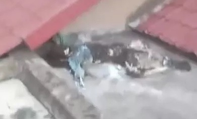 Vu bo xuong tren mai nha o TP HCM: Nan nhan no nan?