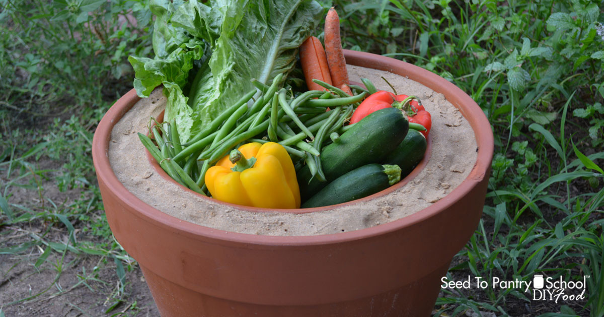 Dù vậy, đối với thời nghèo khó, thiếu tiện ích sinh hoạt như ngày xưa, thì việc có một chiếc ''tủ lạnh'' đặc biệt như Zeer Pot để bảo quản thực phẩmvẫn là một sự lựa chọn tốt. Những thói quen "chết người" khi dùng tủ lạnh | VTC Now