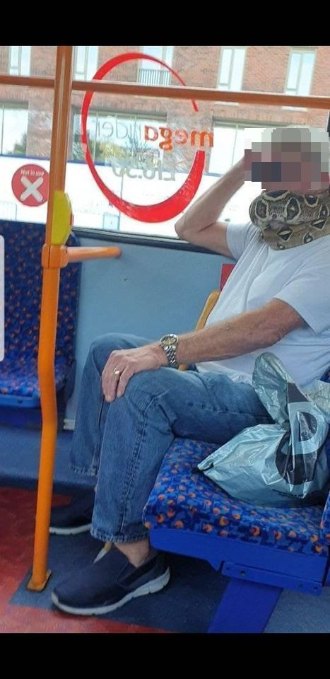 Trong lúc chính phủ Anh đang áp dụng hàng loạt quy định để tránh lây lan COVID-19, thay vì khẩu trang, người đàn ông này che khuất cả mũi miệng bằng con trăn dài cả mét. Sau khi lên xe, ông thong thả gỡ con trăn ra khỏi cổ và để nó cuốn lấy tay vịn trước ánh mắt bàng hoàng xen lẫn hiếu kỳ của các hành khách.