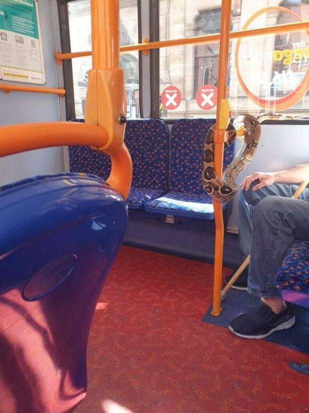 Việc sử dụng khẩu trang hoặc khăn che miệng trên các phương tiện giao thông công cộng tại Anh hiện là bắt buộc, trừ những trường hợp được miễn vì lý do tuổi tác, sức khỏe hoặc khuyết tật.