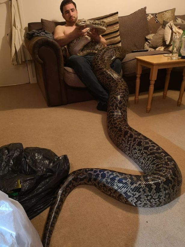 Mặc dù nuôi từ bé và cho rằng Hexxie không nguy hiểm, nhưng Marcus vẫn giữ sinh vật này tránh xa những đứa con trai nhỏ của mình.