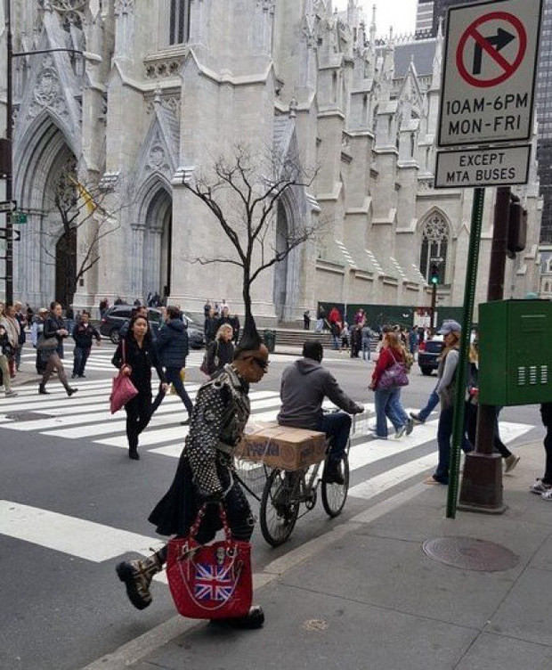 Hình ảnh trùng hợp kỳ lạ khiến không ít người giật mình ngỡ như người đàn ông kia mọc một cái cây trên đầu.