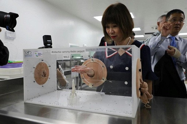 Cuối năm 2019 vừa qua, Singapore mở trang trại nuôi muỗi tại khu công nghiệp Ang Mo Kio nhằm sản sinh khoảng 5 triệu con muỗi Aedes nhiễm vi khuẩn Wolbachia để đối phó với tình trạng số ca nhiễm sốt xuất huyết.