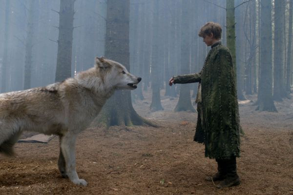 Chó sói Direwolves không chỉ tồn tại trong bộ phim Game of Thrones mà đã thực sự xuất hiện trong cuộc sống của con người. Chúng sống trong thời Thế Canh Tân và có tên khoa học là ''Canis dirus''.