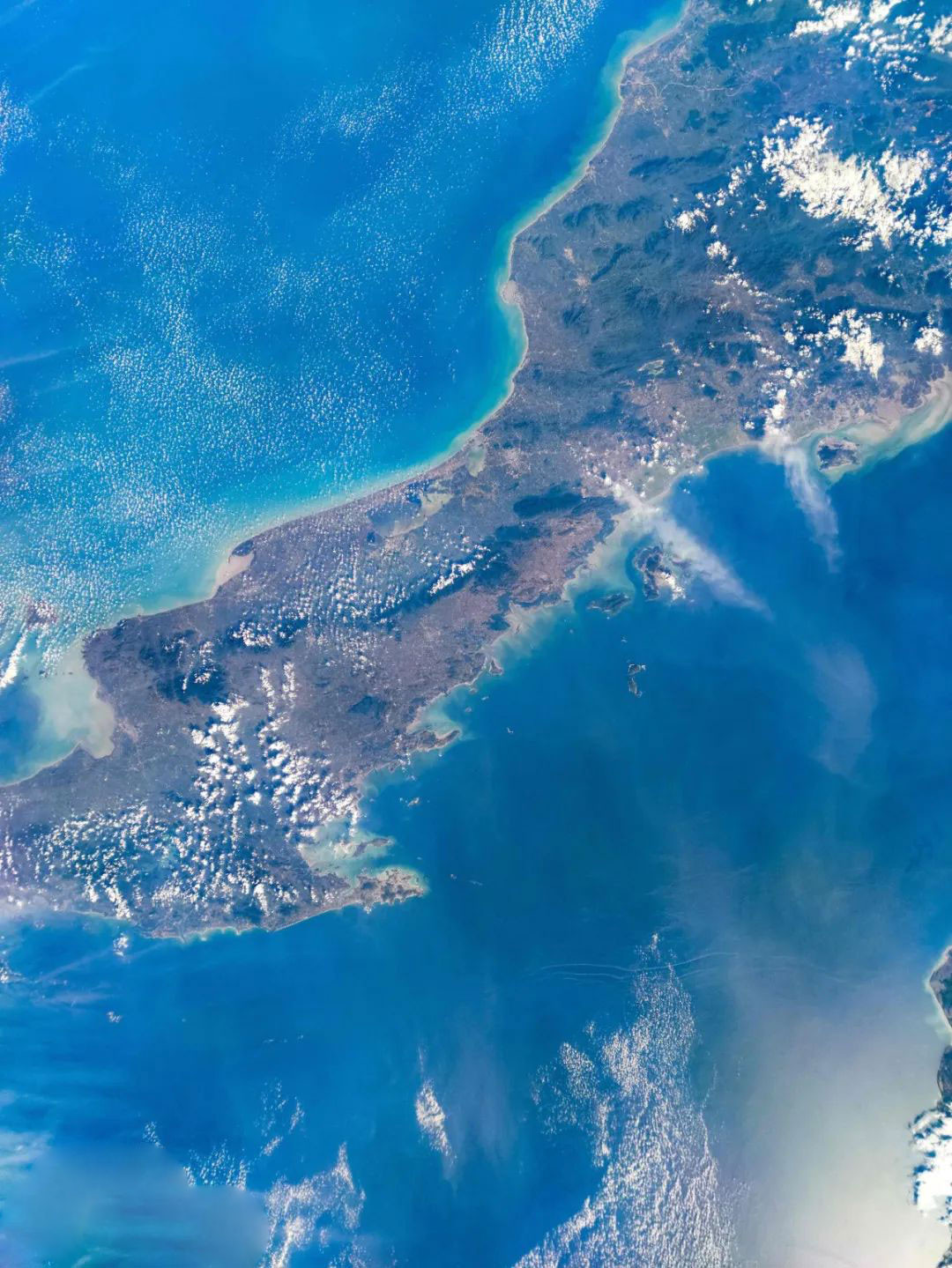 Ngoài ra còn có ống kính tele chuyên dụng để zoom quang học 10 lần và zoom kỹ thuật số 50 lần. Điện thoại cũng có một ống kính góc cực rộng 20MP. Mi 10 Pro cũng đi kèm với một số tính năng như OIS kép, lấy nét laser, nhận dạng cảnh AI để cải thiện chất lượng ảnh chụp.