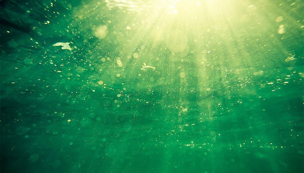 Khuẩn lam xuất hiện, có thể quang hợp với ánh mặt trời, đã tạo ra oxy và nhanh chóng làm đầy bầu khí quyển với khí oxy và khiến loài khuẩn anoxic đều ngạt oxy mà bị xóa sổ. Ngày nay, vi khuẩn lam chỉ tồn tại ở những nơi ít dưỡng khí như lòng đại dương.