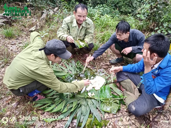 Nỗ lực không ngơi nghỉ của lực lượng kiểm lâm VQG Pù Mát và đội anti-poaching SVW trong việc thực thi pháp luật bảo vệ rừng, góp phần mang lại sự bình yên cho rừng xanh - ngôi nhà an toàn của động vật hoang dã.
