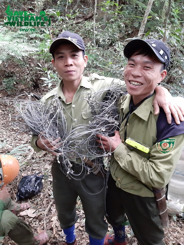 Cùng nhau tháo gỡ hơn 8000 bẫy trong các chuyến tuần tra.