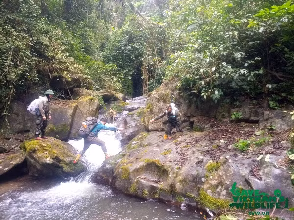 Hình ảnh trèo đèo, lội suối không quản hiểm nguy của đội kiểm lâm để bảo vệ ''báu vật'' quốc gia.