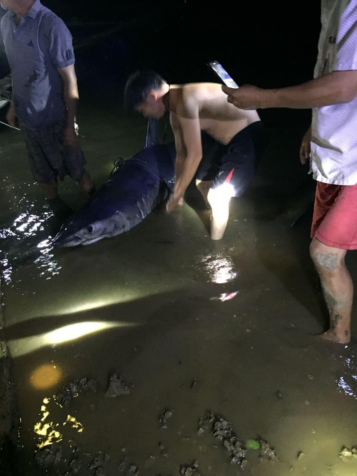Ngay sau khi đưa cá mập lên bờ, người dân thôn Tùng Luật đã báo cáo với chính quyền địa phương, cử người trông coi và dự kiến sẽ chôn cất trong sáng nay.