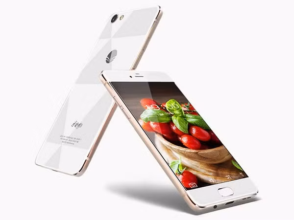 Máy có độ phân giải cao, được bảo mật bằng công nghệ nhận diện gương mặt, công nghệ sạc không dây tiên tiến nhất hiện nay. Ở mặt sau của máy là cụm camera kép đặt dọc cùng với cảm biến vân tay 1 chạm, tuy nhiên thông số chi tiết của cụm camera không được tiết lộ.