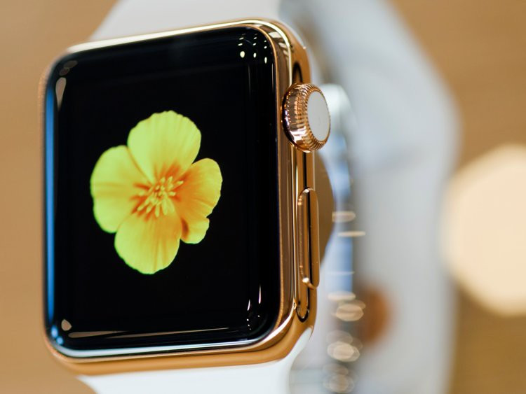 Đặc biệt, Apple không bao giờ tiết lộ có bao nhiêu bản Apple Watch Edition được bán ra. Tuy vậy người hâm mộ phát hiện chiếc đồng hồ này được nhiều người nổi tiếng như Beyonce, Kanye West, Pharrell, Katy Perry, Drake và Karl Lagerfeld sử dụng.