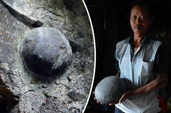 Còn với các nhà khoa học, đây là hiện tượng tự nhiên bất thường và kỳ lạ trên thế giới, hiện vẫn chưa có lời giải thích chính thức. Một số chuyên gia cho biết trứng đá được hình thành trên biển trong thời kỳ Cambri.