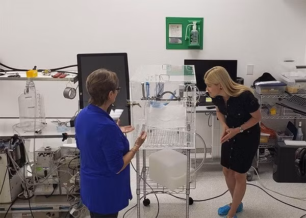 Bên trong phòng phẫu thuật tại Alcor, các thi thể được chuẩn bị cho quá trình ''chăm sóc dài hạn". Tại đây, cơ thể chứa đầy chất chống đông và làm lạnh từ từ trong nhiều giờ.