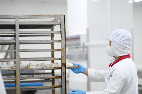 Thời gian đầu, các loại bánh sẽ được phục vụ trên các chuyến bay khởi hành từ Hà Nội và Tp. Hồ Chí Minh với thời gian bay trên 1 tiếng 30 phút, trong bữa ăn nhẹ vào các khung giờ từ 8h30 – 11h00, 13h00 – 17h30, 20h00 – 05h00 sáng hôm sau.