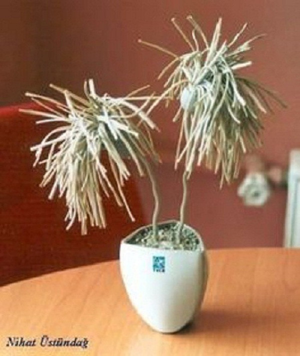 Trong muôn kiểu tái sử dụng chuột máy tính, chậu mini trồng cây cảnh siêu độc đáo này là ý tưởng không tồi.