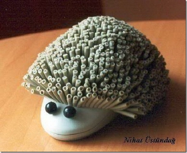 Hay thậm chí chú nhím đáng yêu này.