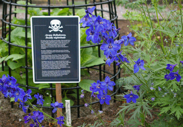 Các biển cảnh báo về mối nguy hiểm khi nếm, chạm hay thậm chí là ngửi cây cối được bố trí khắp vườn.