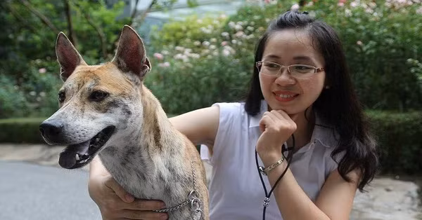 Chị cũng chính là chủ nhân của Cọp - chú chó Phú Quốc được mệnh danh là "khuyển vương". Cọp hội tụ đầy đủ các yếu tố về ngoại hình, tính cách, lại sở hữu tiếng gầm có sức mạnh răn đe, thể hiện uy quyền với những chú chó khác trong bầy.