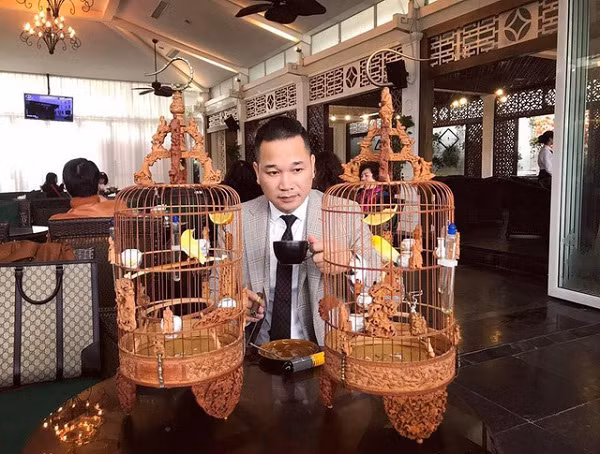 Ngoài bộ lông tuyệt đỉnh với 10 màu khác nhau như: trắng, hồng, vàng, cam,… cặp chim này còn sở hữu ''giọng hát'' trời phú. Chim đỗ quyên của đại gia Chương được ăn hoa quả, tắm nắng theo chế độ đặc biệt và khám bệnh định kỳ mỗi tuần.