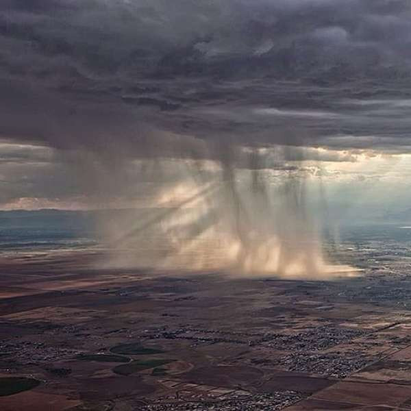 Chính xác thì mớ hỗn độn này là một cơn mưa.