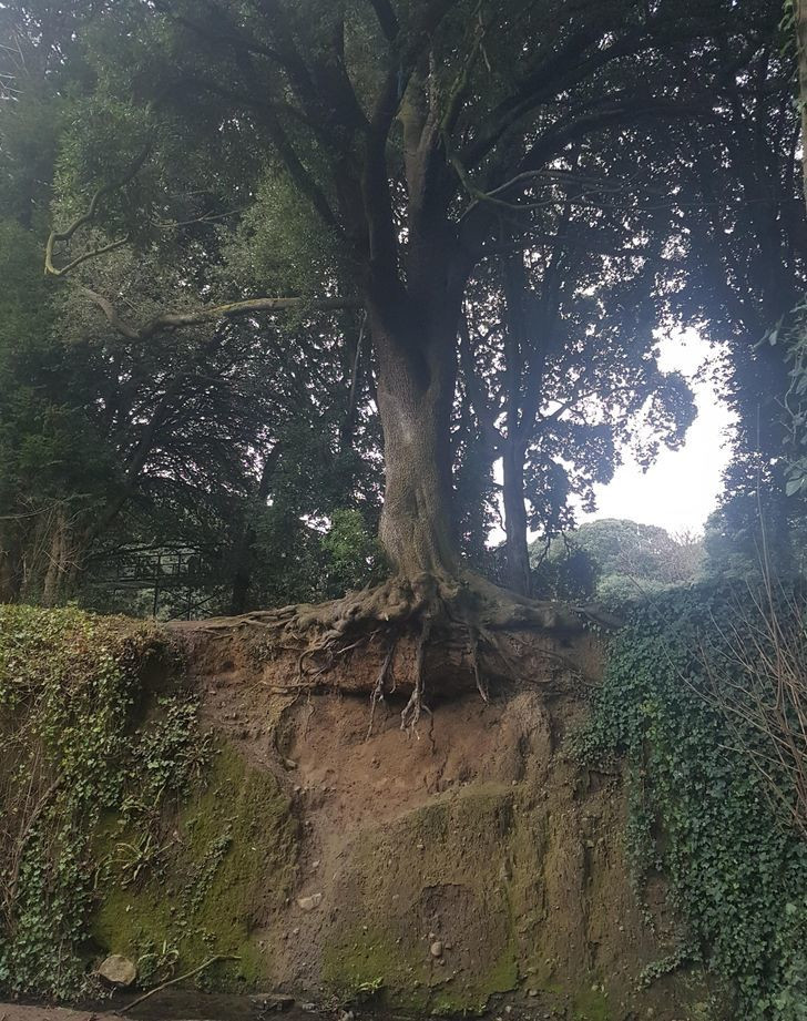 Vượt qua mọi khó khăn, việc "sống bên lề" như thế này cũng không còn quá nhiều cản trở.