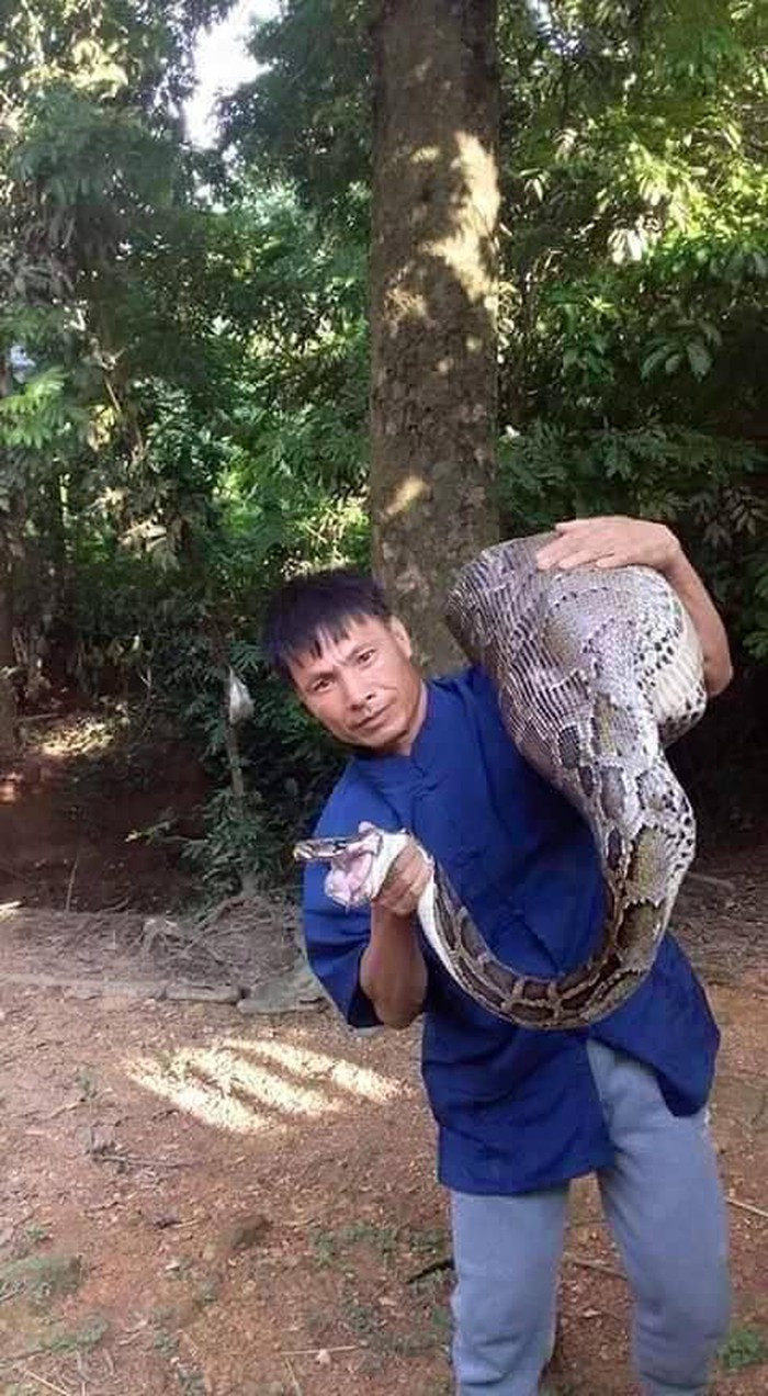 Sự việc tương tự cũng xảy ra ở Đồng Sinh, xã Tân Lập, huyện Hữu Lũng (Lạng Sơn). Người dân bắt được một con trăn khổng lồ nặng gần 20kg, dài khoảng hơn 3m, nghi là nuốt con dê 15kg của gia đình ông.