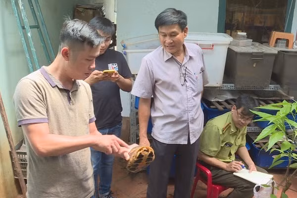 Ngày 9/9 Công an TP Buôn Ma Thuột (Đắk Lắk) đã ra quyết định khởi tố Hoàng Minh Triển (59 tuổi, trú phường Tân Hòa, TP Buôn Ma Thuột) để điều tra hành vi vi phạm quy định về bảo vệ động vật nguy cấp, quý hiếm.