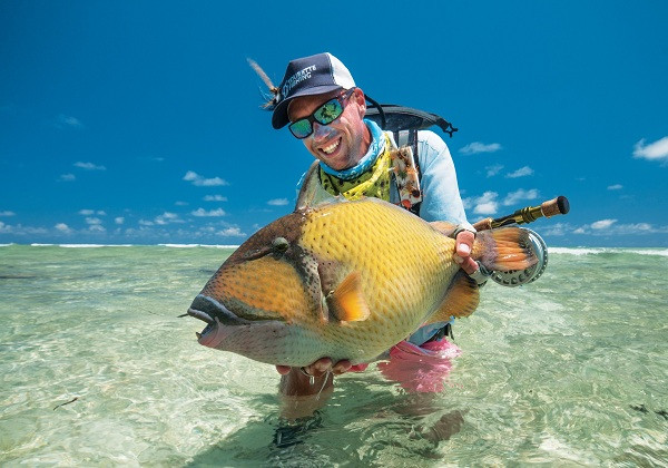 Cá bò triggerfish không phải loài cá duy nhất có bộ răng giống hệt con người.
