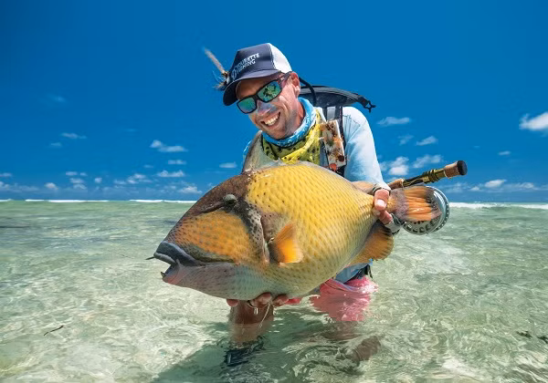 Cá bò triggerfish không phải loài cá duy nhất có bộ răng giống hệt con người.