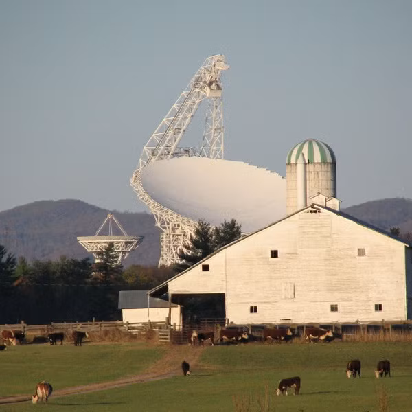 Nơi đây quả nhiên phù hợp cho những ai đang có nhu cầu ''cai nghiện công nghệ''.