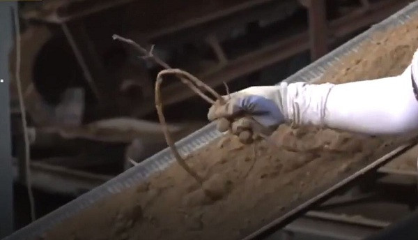 Quá trình tạo nên những "viên gạch vàng" và chất lượng chính là yếu tố làm nên sự nổi tiếng của nó. Gạch cống phải được làm từ thứ đất đặc biệt có tên gọi Lianhua cát mịn với lớp đất sét phủ.