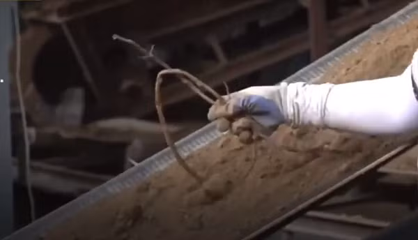 Quá trình tạo nên những "viên gạch vàng" và chất lượng chính là yếu tố làm nên sự nổi tiếng của nó. Gạch cống phải được làm từ thứ đất đặc biệt có tên gọi Lianhua cát mịn với lớp đất sét phủ.