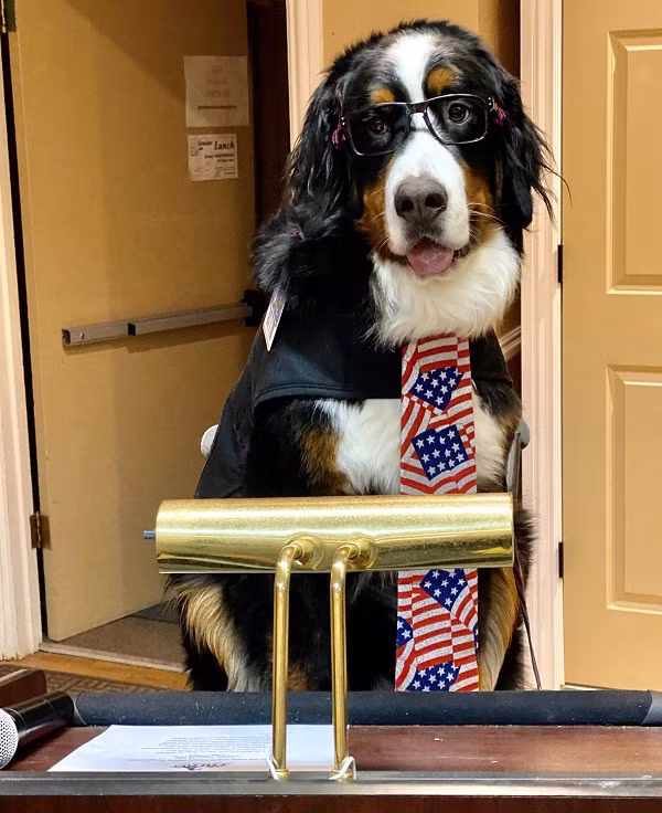 Parker là một trong những thị trưởng chó nổi tiếng nhất nước Mỹ. Chú chó này tuyên thệ nhậm chức thị trưởng danh dự của Georgetown, bang Colorado, vào ngày 11/2/2019.