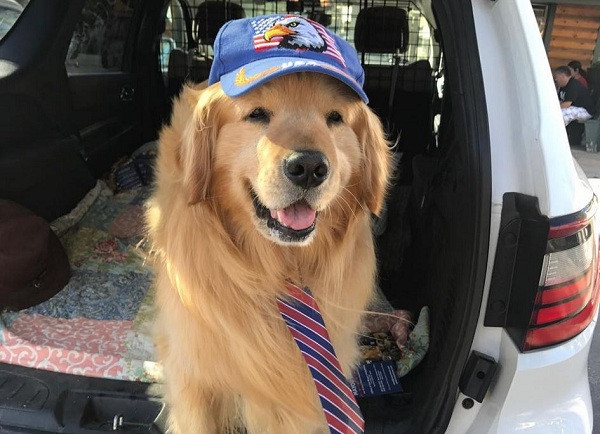 Cuối tuần và đôi khi là vào một số ngày trong tuần, người dân có thể thấy thị trưởng Max ngồi phía sau chiếc xe bán tải, đeo cà vạt, đội mũ đi thăm các khu dân cư. Max có thói quen sủa chào mừng các cư dân của mình.