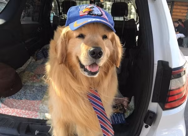 Cuối tuần và đôi khi là vào một số ngày trong tuần, người dân có thể thấy thị trưởng Max ngồi phía sau chiếc xe bán tải, đeo cà vạt, đội mũ đi thăm các khu dân cư. Max có thói quen sủa chào mừng các cư dân của mình.