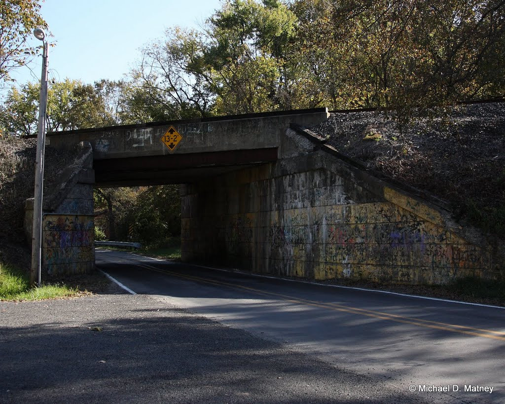 Chúng được đặt trong một khu rừng, trong đó tương truyền có một nhà thương điên nằm trên đường Trout Run. Thực tế, nhà thương điên này không hề tồn tại, nhưng vẫn không ngăn được những người tò mò bỏ công tìm kiếm.