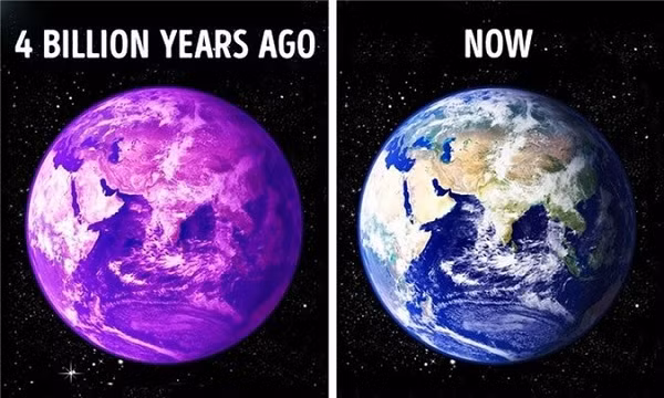 Một trong những sự thật về Trái Đất khiến ai cũng giật mình khi nghe tới, đó là thực tế hành tinh chúng ta đang sống từng mang màu tím. Một nhà khoa học tại Đại học Maryland (Mỹ), cho rằng trước đây, Trái Đất có màu tím, không phải màu xanh như hiện tại.
