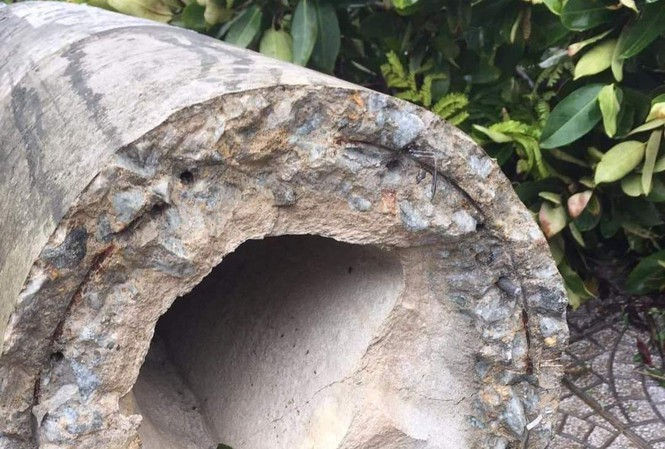 Giải đáp những thắc mắc về việc sau khi cột điện gãy mà không nhìn thấy cốt thép ở trong, theo ý kiến của ông Hùng, trước tiên cần phải kiểm tra xem cột điện đổ là cột điện bê-tông ứng lực trước hay bê-tông thường không ứng lực trước.