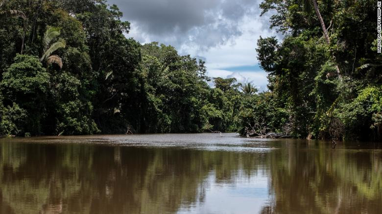 Theo Webb, việc kết hợp thiết bị tân tiến và kiến thức bản địa giúp hoạt động bảo vệ rừng trở nên hiệu quả hơn. Người dân sống ở vùng Amazon có hiểu biết sâu rộng về bảo vệ động vật, các loài có nguy cơ tuyệt chủng và lưu vực sông. Người chơi Flycam tiếc nuối trước lệnh cấm bay | VTC