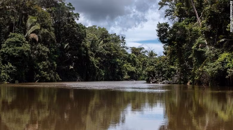 Theo Webb, việc kết hợp thiết bị tân tiến và kiến thức bản địa giúp hoạt động bảo vệ rừng trở nên hiệu quả hơn. Người dân sống ở vùng Amazon có hiểu biết sâu rộng về bảo vệ động vật, các loài có nguy cơ tuyệt chủng và lưu vực sông. Người chơi Flycam tiếc nuối trước lệnh cấm bay | VTC