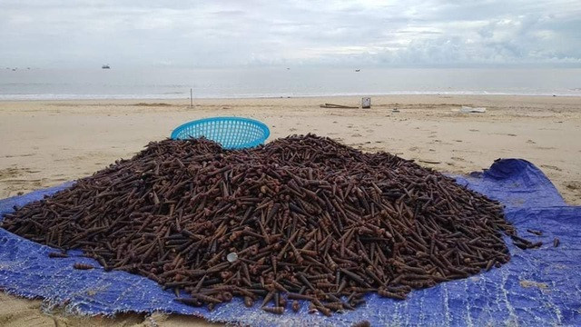 Người dân ở phường Quảng Thọ, thị xã Ba Đồn cho cho biết, chưa từng thấy cảnh tượng này bao giờ nên háo hức kéo nhau ra biển nhặt ốc đưa về ăn. Nhiều thương lái đến thu mua chất thành đống rồi chuyển đi bán nơi khác.