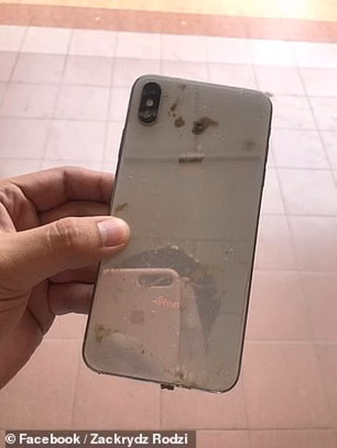 Zackryds lập tức mở album ảnh, anh tá hỏa khi phát hiện loạt ảnh selfie của...một con khỉ đầy trong bộ nhớ điện thoại. Hóa ra, kẻ trộm điện thoại không ai khác chính là con khỉ mà cha của Zackryds đã nhìn thấy ngoài cửa sổ vào ngày trước đó.