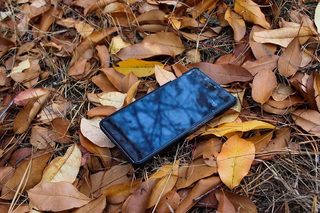 Sau khi không tìm thấy điện thoại trong phòng, Zackryds bắt đầu gọi vào số di động của mình. Đi theo tiếng chuông, anh tìm thấy điện thoại của mình nằm giữa đống lá trong rừng, sau đó bắt đầu điều tra để tìm ra thủ phạm lấy cắp chiếc iPhone.