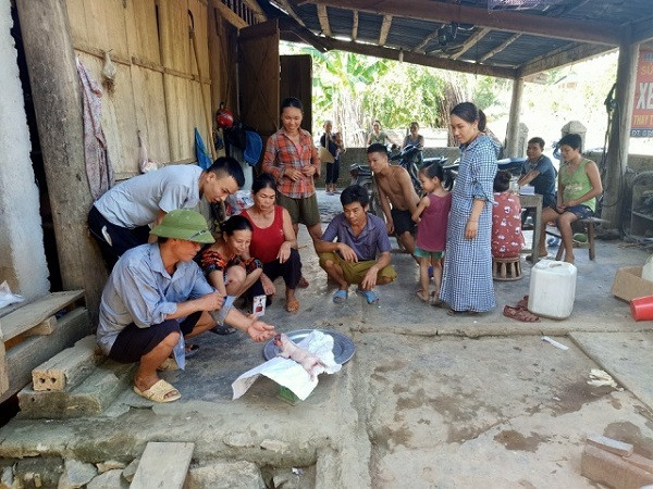 Mới đây ở bản Thắm, xã Châu Thuận, huyện Quỳ Châu, tỉnh Nghệ An xuất hiện con lợn quái dị có một mắt, mọc vòi như voi khiến người dân trong vùng tò mò kéo đến chứng kiến tận mắt.