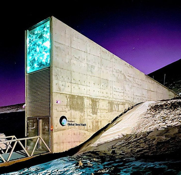 Kho lưu trữ hạt giống ở Bắc Cực lưu trữ hơn 60.000 mẫu hạt giống thực vật trên toàn thế giới. Đây sẽ là kho dự trữ hạt giống lớn nhất trên toàn cầu để đề phòng thiên tai.