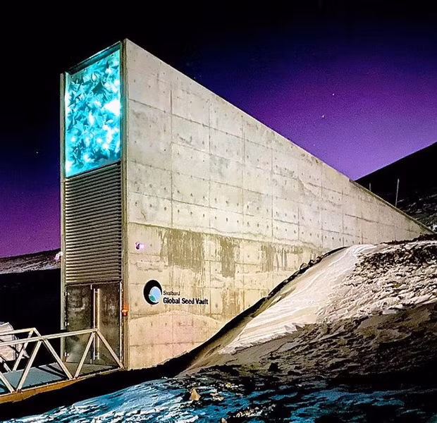 Kho lưu trữ hạt giống ở Bắc Cực lưu trữ hơn 60.000 mẫu hạt giống thực vật trên toàn thế giới. Đây sẽ là kho dự trữ hạt giống lớn nhất trên toàn cầu để đề phòng thiên tai.