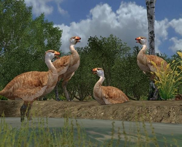 Genyornis newtoni là loài chim ăn thịt khổng lồ cao tới 2,1m, nặng 230kg. Quả trứng mà chúng đẻ ra nặng khoảng 1,6kg nhưng cũng chính là thứ mang đến thảm họa diệt vong cho loài chim huyền thoại này.